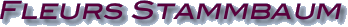 stammbaum