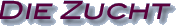 zucht