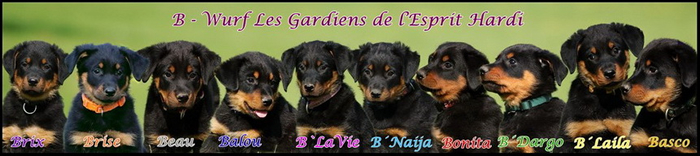 beauceron-net.de