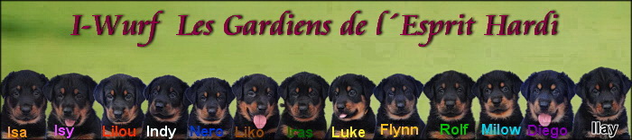 beauceron-net.de