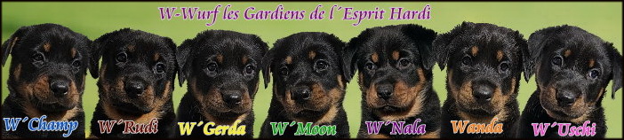 beauceron-net.de
