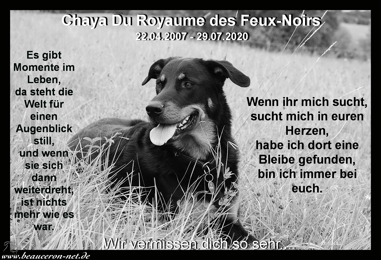 www.beauceron-net.de