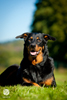 beauceron-net.de