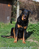 beauceron-net.de