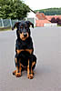 beauceron-net.de