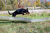 beauceron-net.de