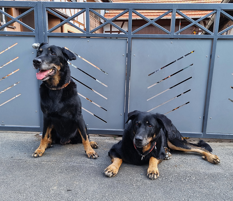 www.beauceron-net.de
