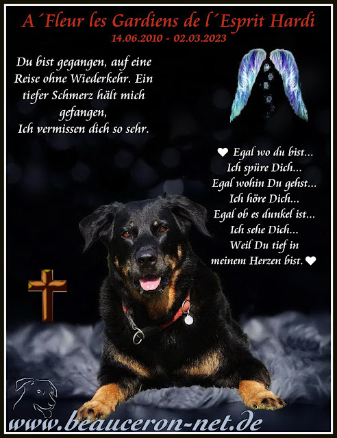 www.beauceron-net.de