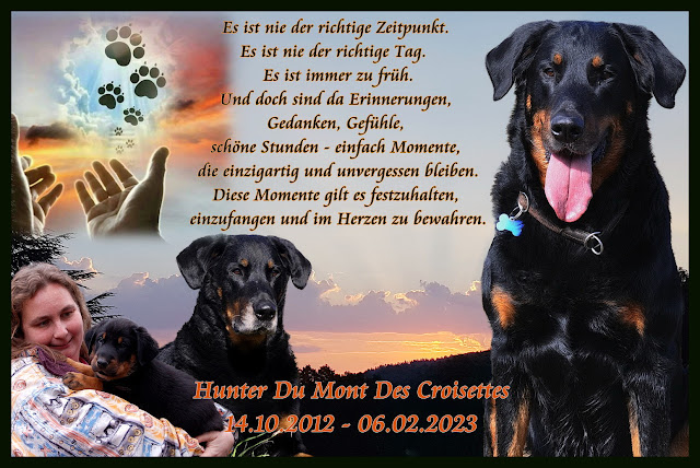 www.beauceron-net.de