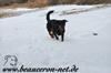 beauceron-net.de