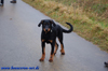 beauceron-net.de