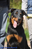 beauceron-net.de