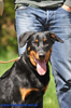 beauceron-net.de