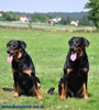 beauceron-net.de