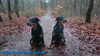 beauceron-net.de