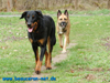 beauceron-net.de