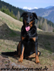 beauceron-net.de