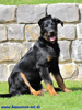 beauceron-net.de