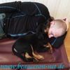 beauceron-net.de