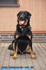 beauceron-net.de