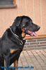 beauceron-net.de