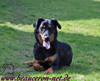 beauceron-net.de