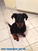 beauceron-net.de
