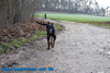 beauceron-net.de