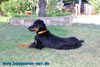 beauceron-net.de