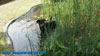 beauceron-net.de