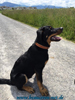 beauceron-net.de