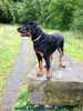 beauceron-net.de