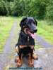 beauceron-net.de