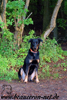 beauceron-net.de