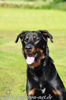 beauceron-net.de