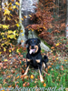 beauceron-net.de