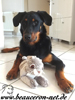 beauceron-net.de