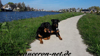 beauceron-net.de