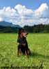 beauceron-net.de