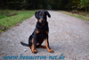 beauceron-net.de