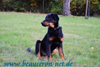 beauceron-net.de