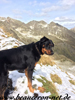 beauceron-net.de