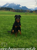 beauceron-net.de