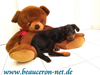 beauceron-net.de