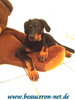 beauceron-net.de