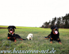 beauceron-net.de