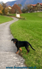 beauceron-net.de