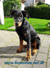 beauceron-net.de