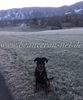 beauceron-net.de