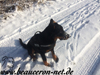 beauceron-net.de